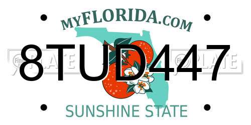 8TUD447 Florida License Plate