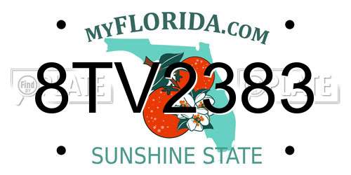 8TV2383 Florida License Plate