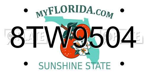8TW9504 Florida License Plate