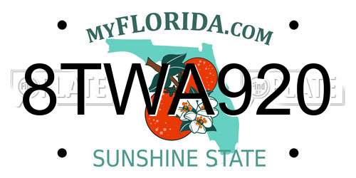 8TWA920 Florida License Plate