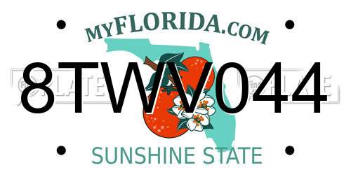 8TWV044 Florida License Plate