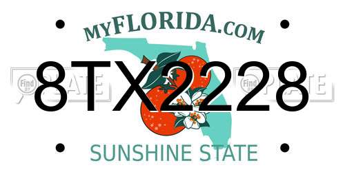 8TX2228 Florida License Plate