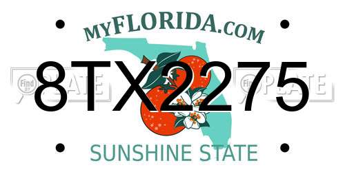 8TX2275 Florida License Plate