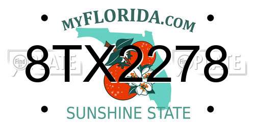 8TX2278 Florida License Plate