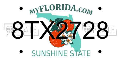 8TX2728 Florida License Plate