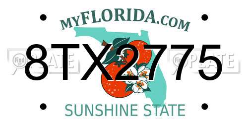 8TX2775 Florida License Plate