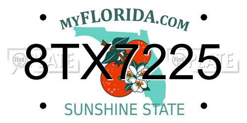 8TX7225 Florida License Plate