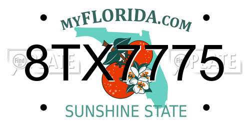 8TX7775 Florida License Plate