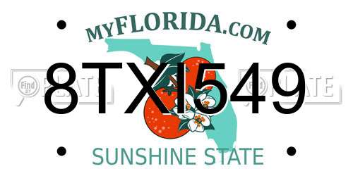 8TXI549 Florida License Plate