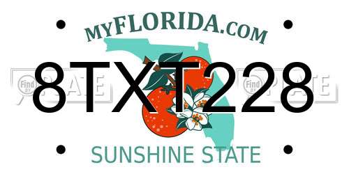 8TXT228 Florida License Plate