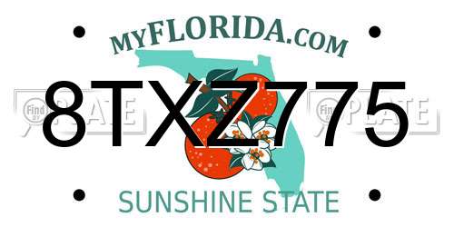 8TXZ775 Florida License Plate