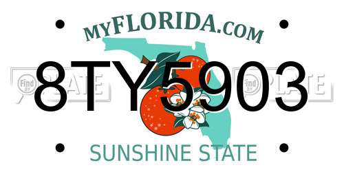 8TY5903 Florida License Plate