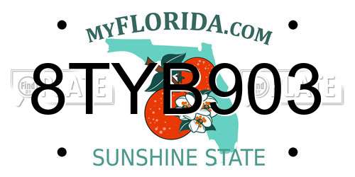 8TYB903 Florida License Plate