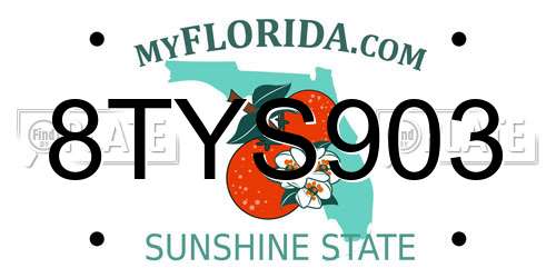 8TYS903 Florida License Plate