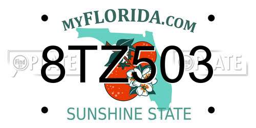 8TZ503 Florida License Plate