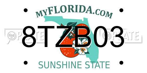 8TZB03 Florida License Plate