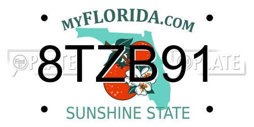 8TZB91 Florida License Plate