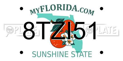 8TZI51 Florida License Plate