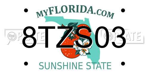 8TZS03 Florida License Plate