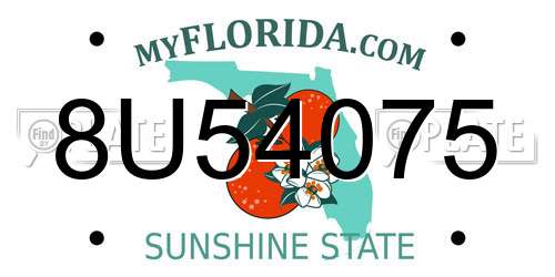 8U54075 Florida License Plate