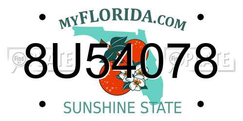 8U54078 Florida License Plate