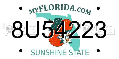 8U54223 Florida License Plate