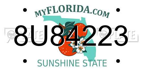 8U84223 Florida License Plate
