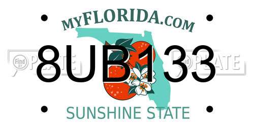 8UB133 Florida License Plate