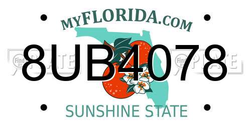 8UB4078 Florida License Plate