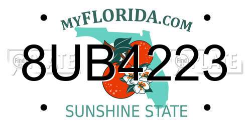 8UB4223 Florida License Plate