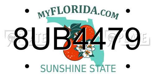 8UB4479 Florida License Plate