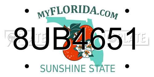 8UB4651 Florida License Plate