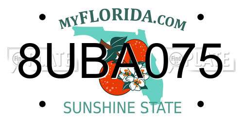 8UBA075 Florida License Plate