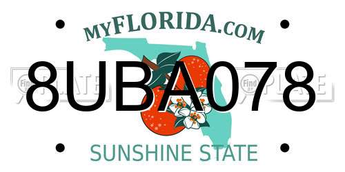 8UBA078 Florida License Plate