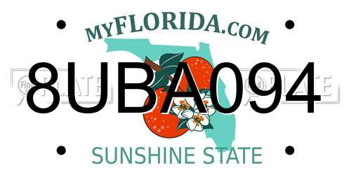 8UBA094 Florida License Plate