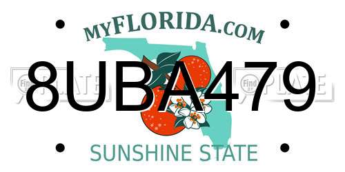 8UBA479 Florida License Plate