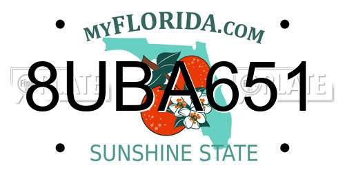8UBA651 Florida License Plate