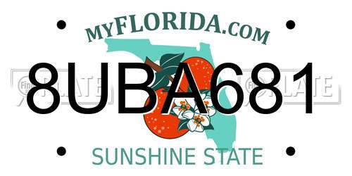 8UBA681 Florida License Plate