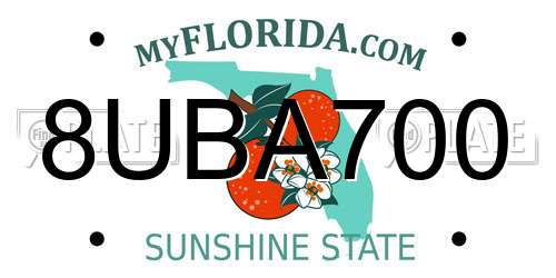 8UBA700 Florida License Plate