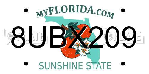 8UBX209 Florida License Plate