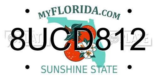 8UCD812 Florida License Plate
