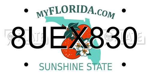 8UEX830 Florida License Plate