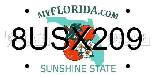 8USX209 Florida License Plate