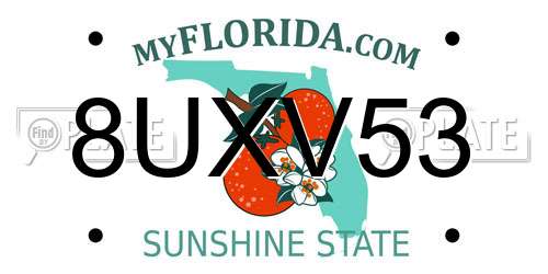 8UXV53 Florida License Plate