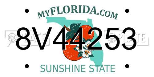 8V44253 Florida License Plate