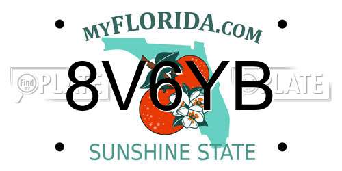 8V6YB Florida License Plate