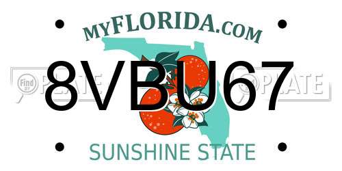 8VBU67 Florida License Plate