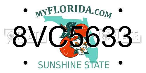 8VC5633 Florida License Plate