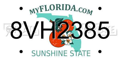 8VH2385 Florida License Plate