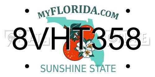 8VHT358 Florida License Plate